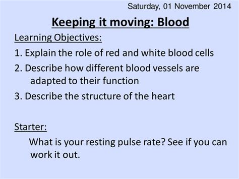 Circulation and the heart ppt HT | Teaching Resources