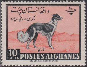 Stamp: Afghan Hound (Canis lupus familiaris) (Afghanistan(Agriculture Day (1961)) Mi:AF 523,Sn ...