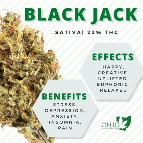 Strain Review: Black Jack by Grow Ohio - The Highest Critic