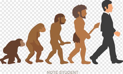 Evolution chart, Neandertal Homo sapiens The Evolution of Living Things Coloring Book Human ...