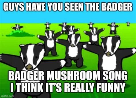 GUYS HAVE YOU SEEN THE BADGER BADGER MUSHROOM SONG THINK IT'S REALLY FUNNY - iFunny