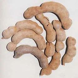 Tamarind Pods at best price in Ranchi by Sai Agro Exim Private Limited | ID: 4622491833