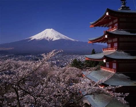 Top 10 Most Popular Tourist Attractions in Japan - WanderWisdom