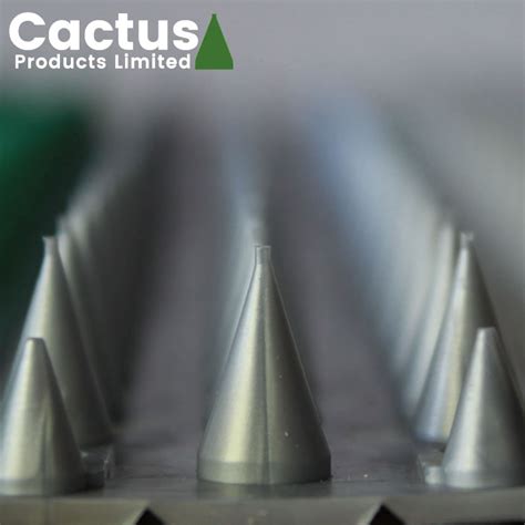 Cactus Fence Wall Spikes Pack of 30 : Cat Deterrent Spikes | Cactus Product