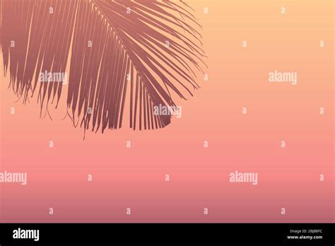 palm leaf silhouette on summer sky background vector illustration EPS10 Stock Vector Image & Art ...
