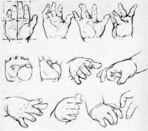 How to Draw Hands – Reference Sheets and Guides to Drawing Hands – How to Draw Step by Step ...