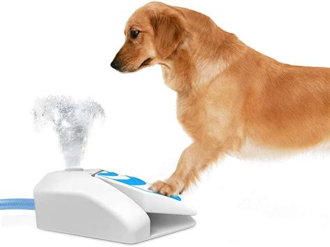 ALL FOR PAWS Chill Out Dog Garden Water Fountain, Outdoor Pet Water ...