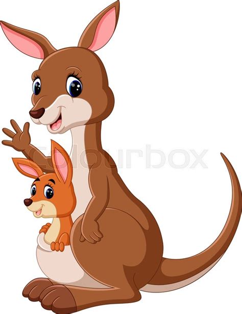 Illustration of cute Kangaroo cartoon | Stock vector | Colourbox