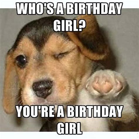 29 Funniest Happy Birthday Dog Meme - Happy Birthday Meme