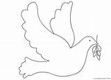 Doves Coloring Pages Animal Printable Sheets Olive Branch And Dove 2021  sketch template