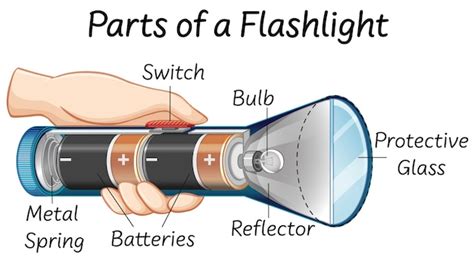 Free Vector | Parts of a flashlight