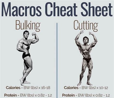 MACROS CHEAT SHEET FOR BULKING AND CUTTING You want to bulk or you want ...