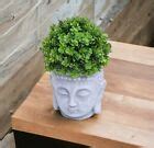buddha plant pot indoor buddha planter | eBay