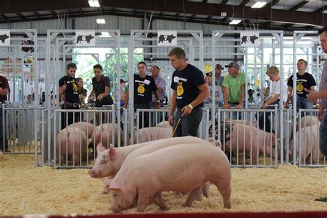 Home [www.clintoncountyiowafair.com]