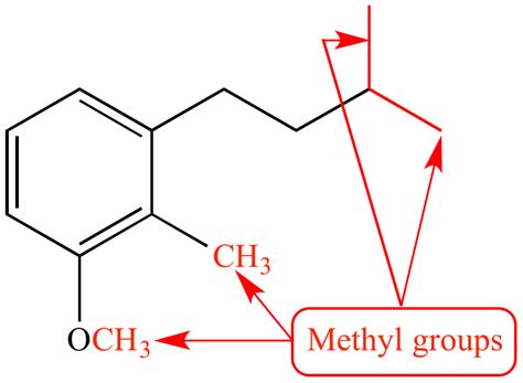 Methyl Group