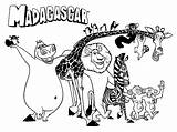 Madagascar Coloring Pages  Best For Kids sketch template