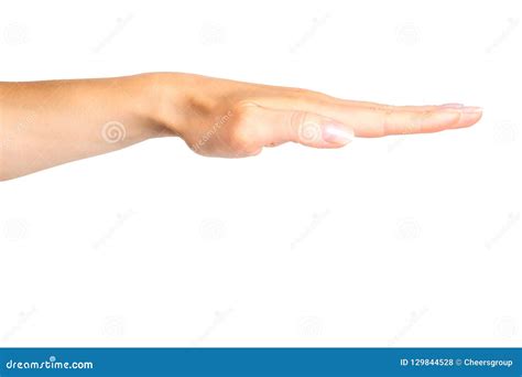 Female Keep Hand Straight, Side View. Stock Photo - Image of greeting, giving: 129844528