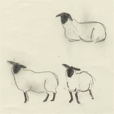 Pin by Julie Anetrini on Art that gives me ideas... | Sheep illustration, Animal drawings, Sheep ...