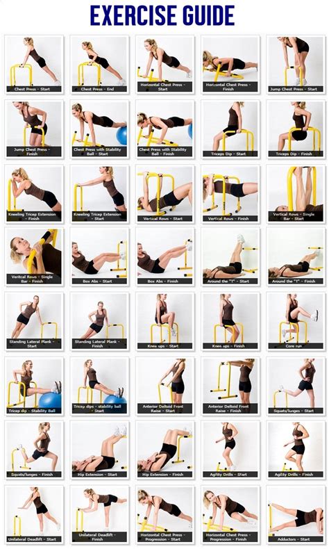 All you can do lebert equalizer workout | Bar workout, Parallettes ...