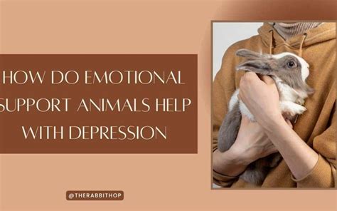 How Do Emotional Support Animals Help With Depression - The Rabbit Hop