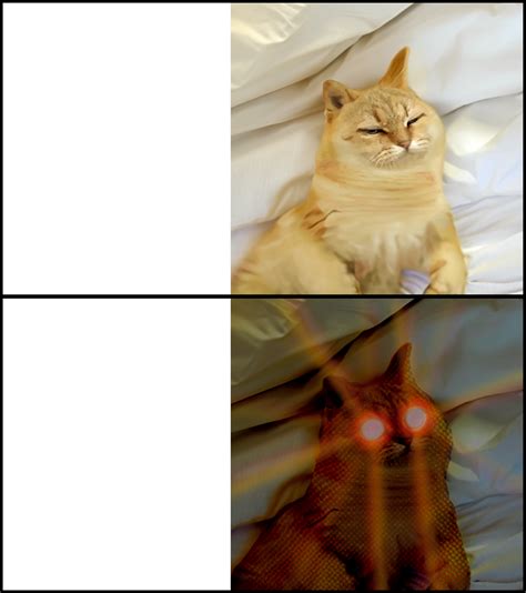 sleeping cat Blank Template - Imgflip