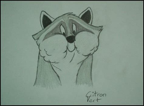 Pocahontas - Meeko by Citron--Vert on DeviantArt