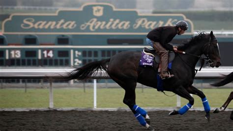 Santa Anita Racetrack: 22 Horses Have Died Since December