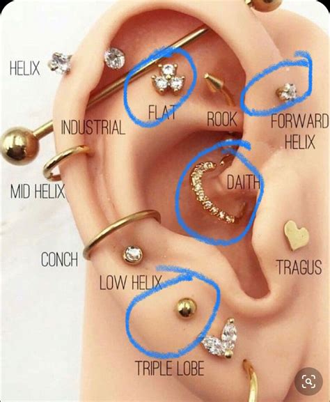 Piercings 😍🥵 | Pretty ear piercings, Body jewelry piercing, Piercings