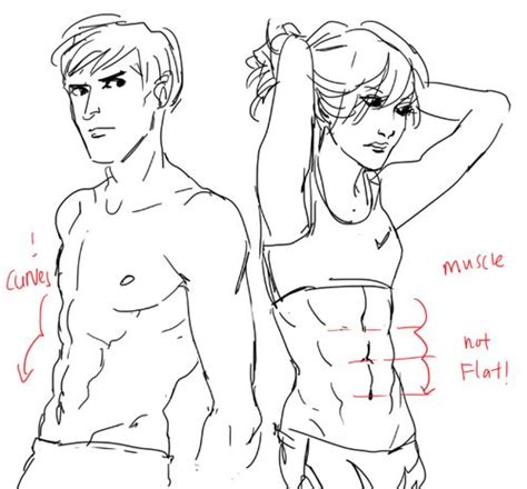 Pin by FluffFIight the Neko on Art References in 2020 (With images) | Drawings, How to draw abs ...