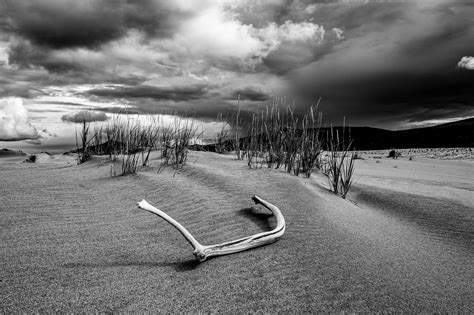 6 Wonders in Kobuk Valley: America's Least Visited National Park ...