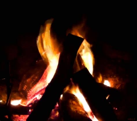 Camp Fire GIFs - Find & Share on GIPHY