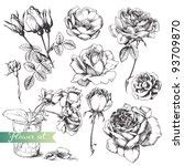 Sketch Of Flowers Free Stock Photo - Public Domain Pictures