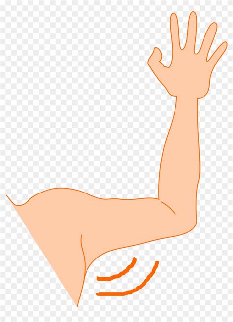 Hand Arm Clipart - Left Arm Clip Art - Free Transparent PNG Clipart Images Download