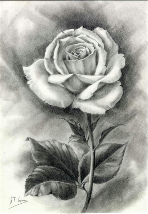 Dibujo Artístico a Lápiz - Página 3 | Beautiful flower drawings, Flower ...