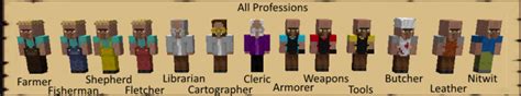 All Villager Professions - Brazil Network