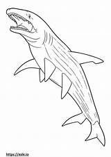 Basking Shark Cute coloring Page sketch template