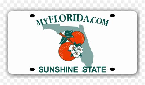 Florida License Plate - Blank Florida License Plate, HD Png Download - 780x415(#1309784) - PngFind