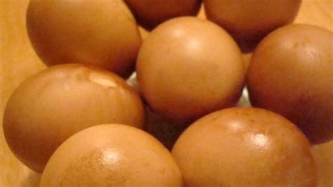 Smoked Eggs Recipe - Allrecipes.com