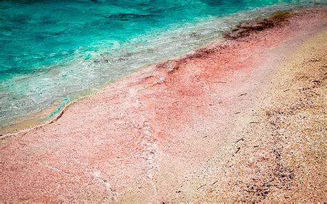 Pink Balos Beach, Crete | A complete GUIDE - Daily Travel Pill