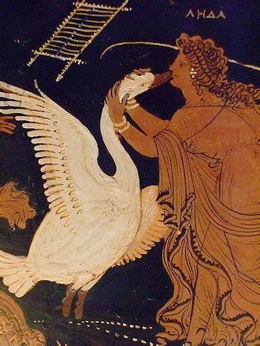 Leda | Greek Mythology Wiki | FANDOM powered by Wikia