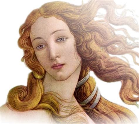 Aphrodite Greek Goddess Of Love And Beauty Symbol