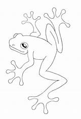 Free Printable Frog Coloring Pages For Kids sketch template
