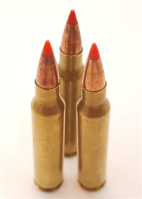 .223 Remington Varmint Ammo with 50 Grain V-Max Red Tip Bullets 50 Rounds ~ Now Shipping To ...