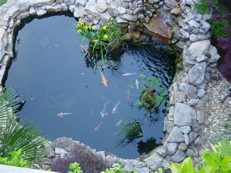 Luxury Koi Fish Pond Design Ideas | Home Trendy