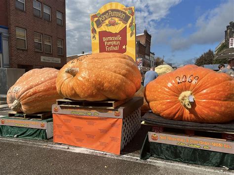 Giant Pumpkin Breaks Records in Ohio Pumpkin Festival - Scioto Post