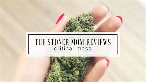 Critical Mass Cannabis Strain Review | The Stoner Mom Reviews