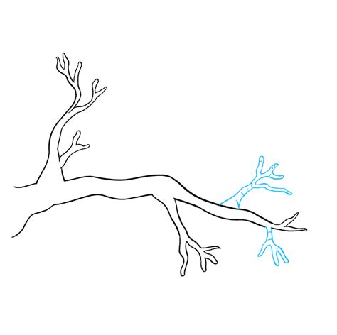 How to Draw a Tree Branch - Really Easy Drawing Tutorial