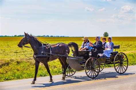 16 Things You Didn't Know About Amish People - Matador Network