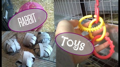 Rabbit Toys | What Toys are Good for Rabbits? | Rabbit Toy Ideas - YouTube