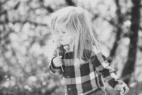 Boy with Flower on Idyllic Sunny Day Stock Image - Image of childhood ...